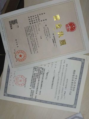 上海鸾熙网络科技