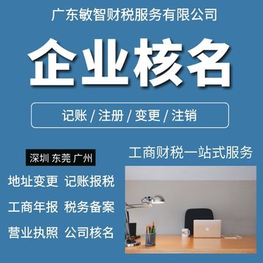 代办公司注册 商务服务